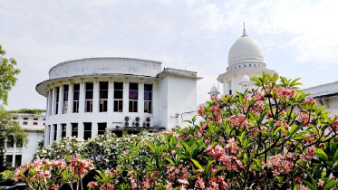 অ্যাম্বুলেন্স থেকে টোল না নিতে হাইকোর্টের নির্দেশ